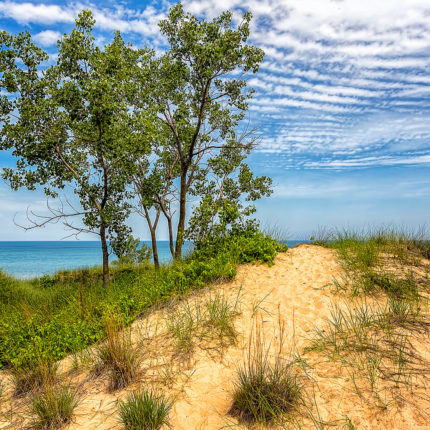dunes dunes