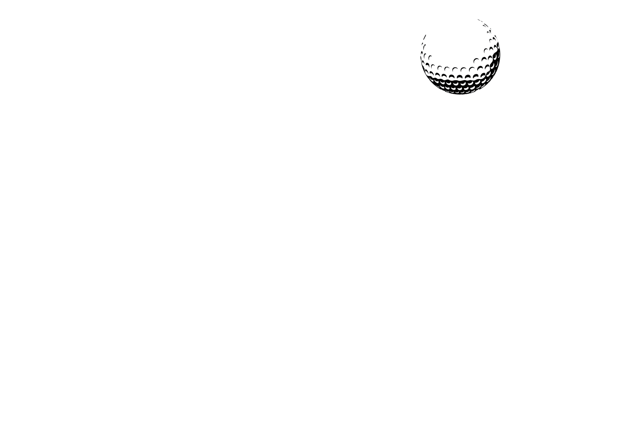 Brassie Logo-01