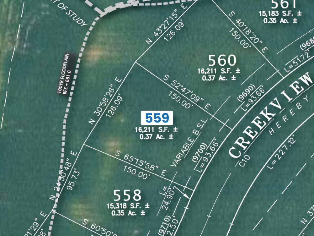 Preserve Lot 559