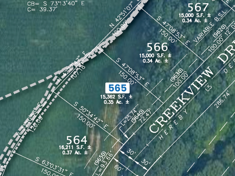 Preserve Lot 565
